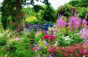 ... stylish cottage garden cottage garden ideas uk ... QEFRIAD