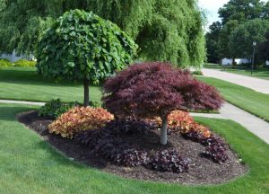 12 cheap landscaping ideas - budget-friendly landscape tips for front yard  and backyard CGVKIQQ