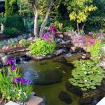 18 lovely ponds and water gardens for your backyard JUYBPTD