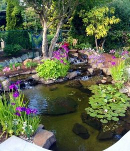 18 lovely ponds and water gardens for your backyard JUYBPTD