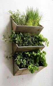 21 decorative indoor herb garden ideas while remodelling your kitchen -  http://centophobe JLCWBTC