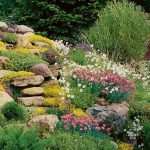 25+ best ideas about rock garden design on pinterest | back garden ideas,  backyard garden landscape XSPGHIE