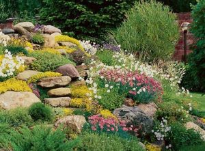 25+ best ideas about rock garden design on pinterest | back garden ideas,  backyard garden landscape XSPGHIE