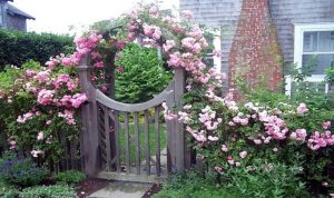 25 most beautiful and unique garden gates - youtube IVSQIKT