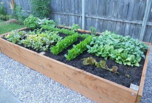 a modern garden planters space in colombus TQPQEJU