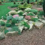 a natural-looking rock garden is a great way to spotlight understated  flowers and plants BRLFXPH