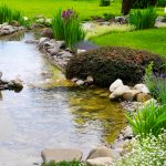add a natural look to your house with water gardens YPGHOXO