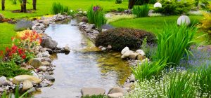 add a natural look to your house with water gardens YPGHOXO