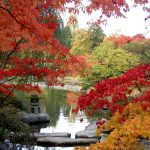 autumn at the seattle japanese garden NZKOFRD