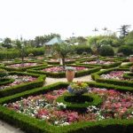 bermuda botanical gardens (paget parish): top tips before you go -  tripadvisor TPFQPAW
