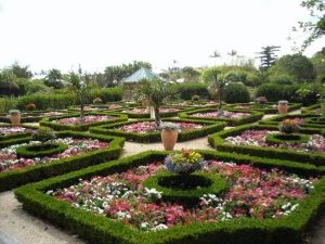 bermuda botanical gardens (paget parish): top tips before you go -  tripadvisor TPFQPAW