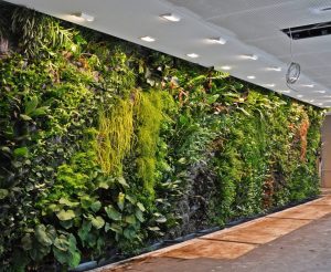 best 20+ vertical gardens ideas on pinterest | wall gardens, vertical garden  wall and vertical garden UNLSBML