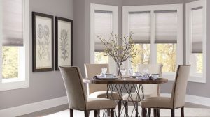 blinds.com economy light filtering cellular shades YADQLSZ