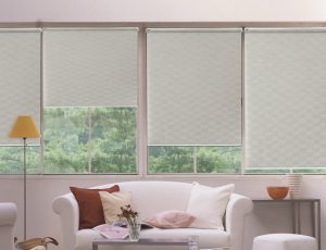 burris window shades | shade2. ACPDAIO