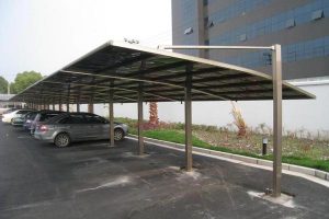 car canopy: the portable shelter for your lovable ride NBWKFPE