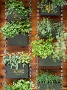 chain-link vertical garden HXQFSTW