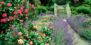 cottage garden 9 cottage style garden ideas - gardening ideas LKHLNNJ