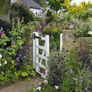 cottage garden 9 cottage style garden ideas - gardening ideas MVBLXAJ