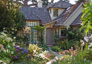 cottage garden i ... FPCVWDU