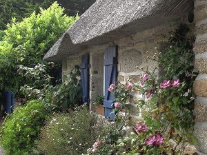 cottage garden - wikipedia NVTWAUO