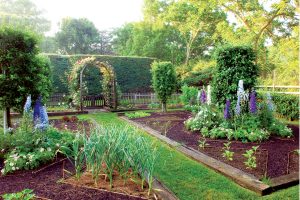 design an easy kitchen garden YDJKAIT