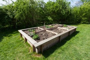 diy raised garden beds ZTSXDQC