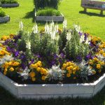flower bed ideas annual flower bed designs with wooden board OMYHDDA