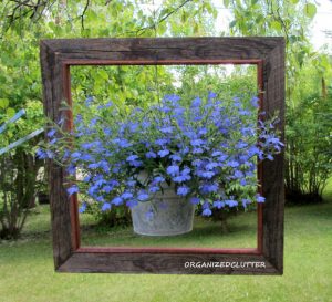 garden decor framed-container PTOAGTW