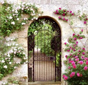 garden gate - harvard inspired 19th cen garden gates - gg307 EASKREO