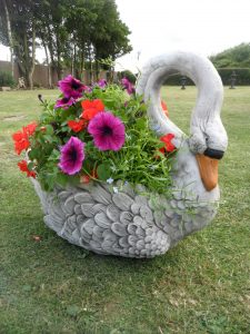 garden ornaments a 60s planter swan in full bloom RUAXSLA