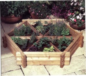 garden planters growing herbs or vegetables in garden pots and planters GAACKNN