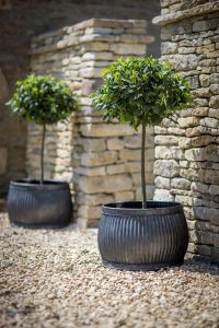 garden pots planters u0026 pots | galvanized metal containers with standardized shrubs RHCWNYZ