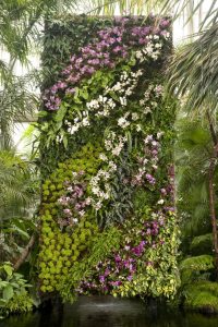 in the air: orchidelirium. vertical garden ... YONOJDH