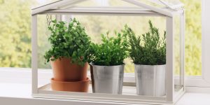 indoor herb garden ikea socker greenhouse YRWWMSN