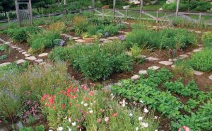 kitchen garden create decorative boundaries. when it comes to kitchen gardens ... TGUFLSG