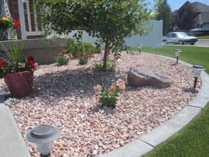 landscaping rocks lilac landscape KDXMUKY