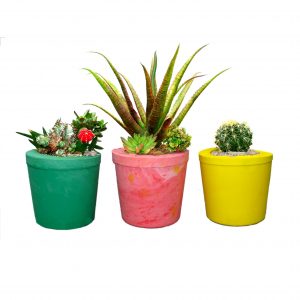 plant pots magic planting pot casting kit- make a plant a home CJKPLHG