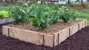 raised bed garden plank and rebar raised bed JKNWALH