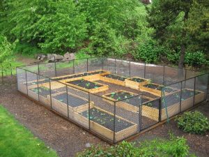 raised bed garden UKQJBIG