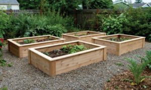 raised garden beds 2 wide x 22 IXZWYRS