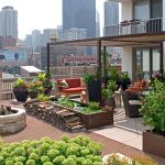 rooftop gardens: ancient idea - modern benefits - modern urban roof garden  - patio - VBCNBAL