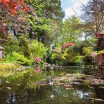 the japanese garden OUTENMI