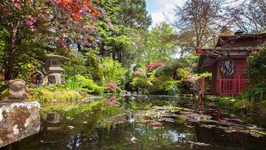 the japanese garden OUTENMI