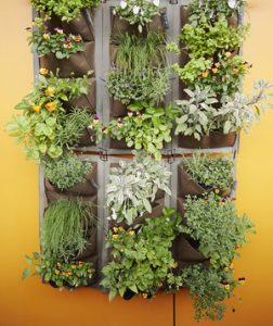 vertical garden decide on the type of garden RIPPWLZ