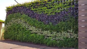 vertical garden mumbai ZPSGVCL