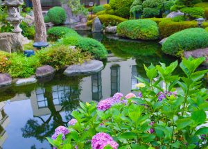 water gardens - nualgi ponds ZJXSBON