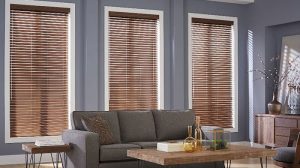 window blinds blinds.com 2 IKLWRVX