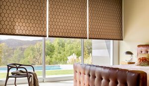 window coverings roller shades DRYWFPZ