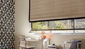 window shades roman shades DCCUWED