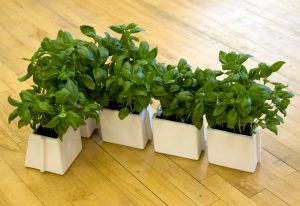 x tray is a set of five plant pots that slot together in any configuration  you GQKQACQ